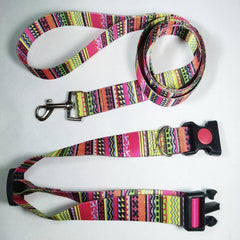 Multifunctional Dog Leash and Collar Set for Training & Walks