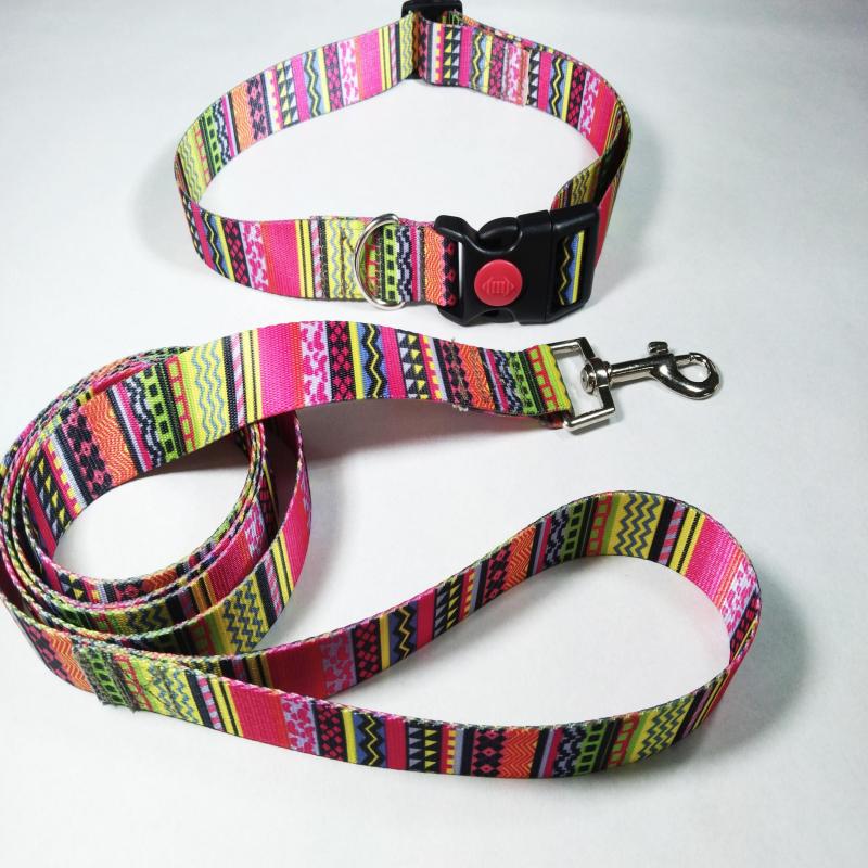 Multifunctional Dog Leash and Collar Set for Training & Walks