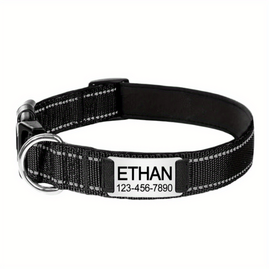 Reflective Dog Collars with Engraved Name Plate