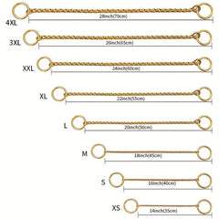Stainless Steel Dog Collar for Training/Walking