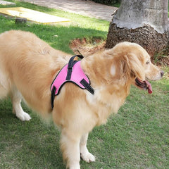 Reflective No Pull Dog Harness with Soft Padding for Small to Large Dogs