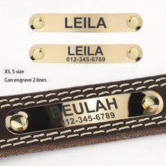 Personalized Leather Dog Collar for Small, Medium, Large Dogs