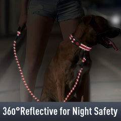 Taglory Reflective Dog Collar with AirTag Holder for Safety