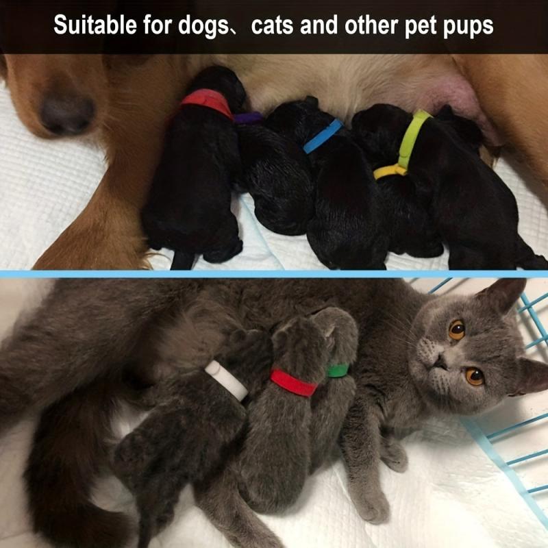 15pc Colorful Puppy ID Collars for Newborn Dogs & Cats