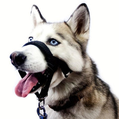 Adjustable Dog Pet Muzzle Head Halter for Training