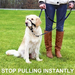 Adjustable Dog Pet Muzzle Head Halter for Training