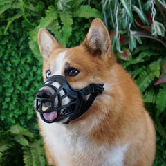 Adjustable & Breathable Dog Muzzle - Safe & Comfortable for All Sizes