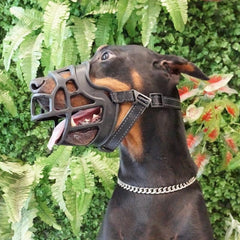 Adjustable & Breathable Dog Muzzle - Safe & Comfortable for All Sizes