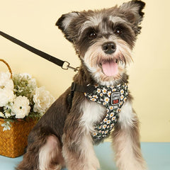 Floral Print Pet Harness and Leash Set - Comfortable and Stylish