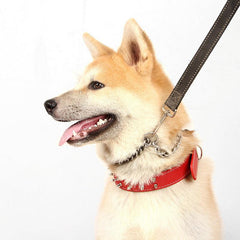Spiked Studded Leather Dog Collar for Medium/Large Dogs Punk Style