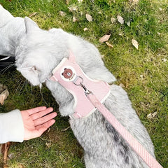 Soft Bear Pattern Cat Harness And Leash Set - Comfortable Cat Vest