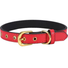 Durable Adjustable Pet Collar for Small and Medium Dogs