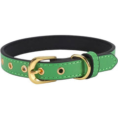 Durable Adjustable Pet Collar for Small and Medium Dogs