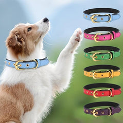 Durable Adjustable Pet Collar for Small and Medium Dogs