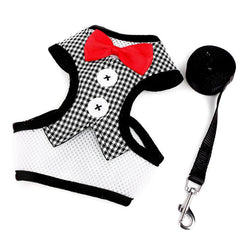 Stylish No Pull Pet Harness and Leash Set for Dogs and Cats