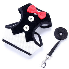 Stylish No Pull Pet Harness and Leash Set for Dogs and Cats