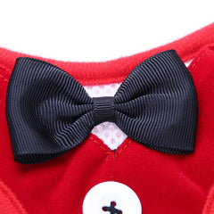 Stylish No Pull Pet Harness and Leash Set for Dogs and Cats