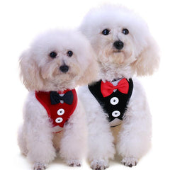 Stylish No Pull Pet Harness and Leash Set for Dogs and Cats