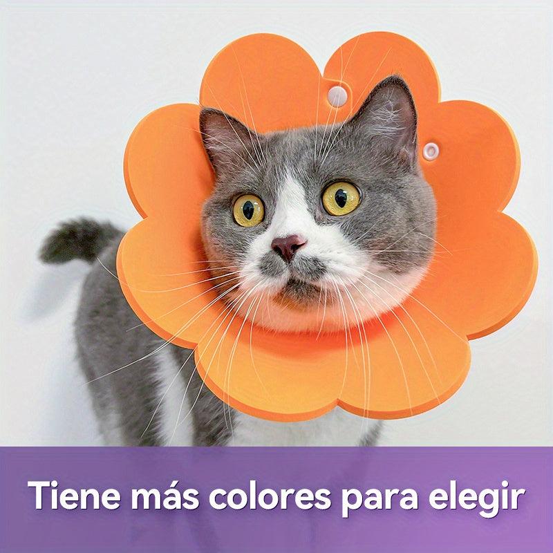 Elizabethan Recovery Collar for Dogs and Cats