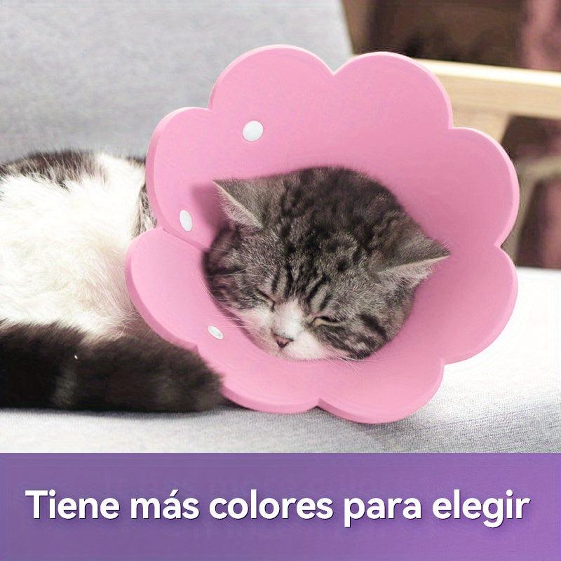 Elizabethan Recovery Collar for Dogs and Cats