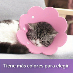 Elizabethan Recovery Collar for Dogs and Cats