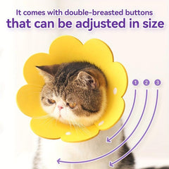 Elizabethan Recovery Collar for Dogs and Cats