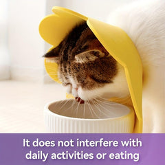 Elizabethan Recovery Collar for Dogs and Cats