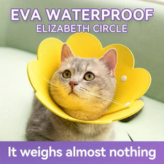 Elizabethan Recovery Collar for Dogs and Cats