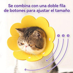 Elizabethan Recovery Collar for Dogs and Cats