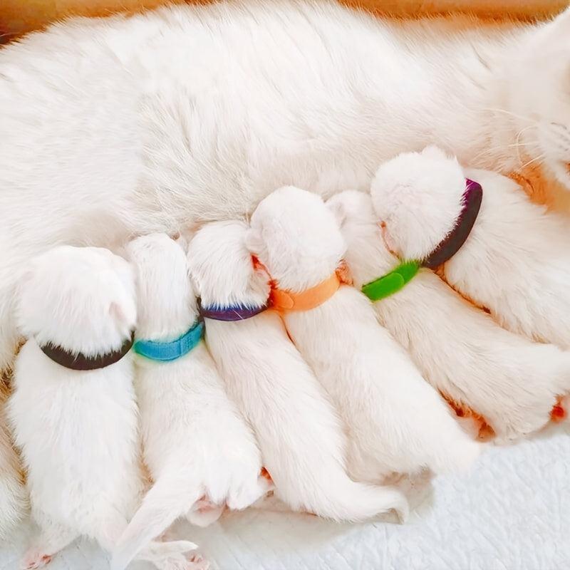 12pcs Personalized Pet ID Collar for Newborn Dogs & Cats