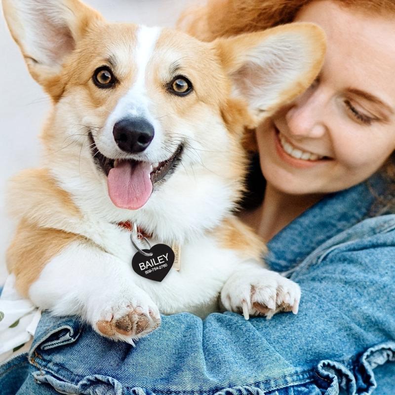 Personalized Dog Tag - Custom Engraved with Pet's Name & Info