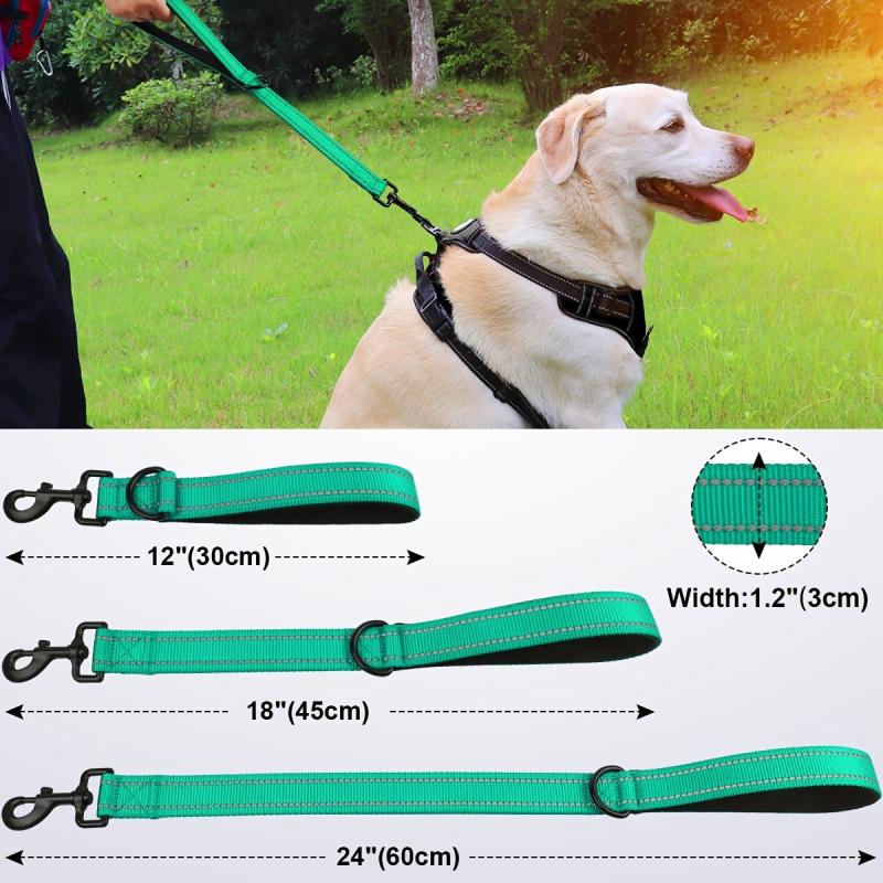 Taglory Short Dog Leash Traffic Padded Handle Heavy Duty Nylon Dog Lead