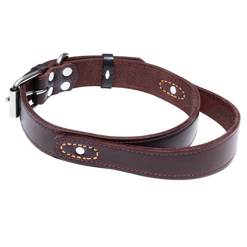 Leather Dog Collar with Handle for Medium and Large Dogs