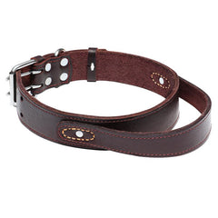Leather Dog Collar with Handle for Medium and Large Dogs