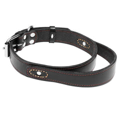Leather Dog Collar with Handle for Medium and Large Dogs