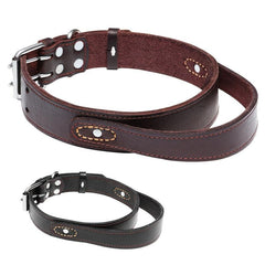 Leather Dog Collar with Handle for Medium and Large Dogs
