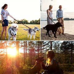 Tactical Dog Collar & Leash Set for Outdoor Adventures