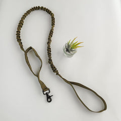 Tactical Dog Collar & Leash Set for Outdoor Adventures