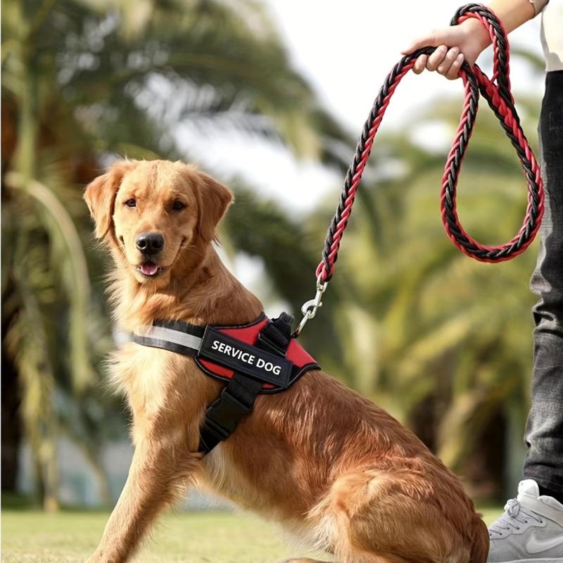 Customized Dog Vest with Padded Handle for Walking Training