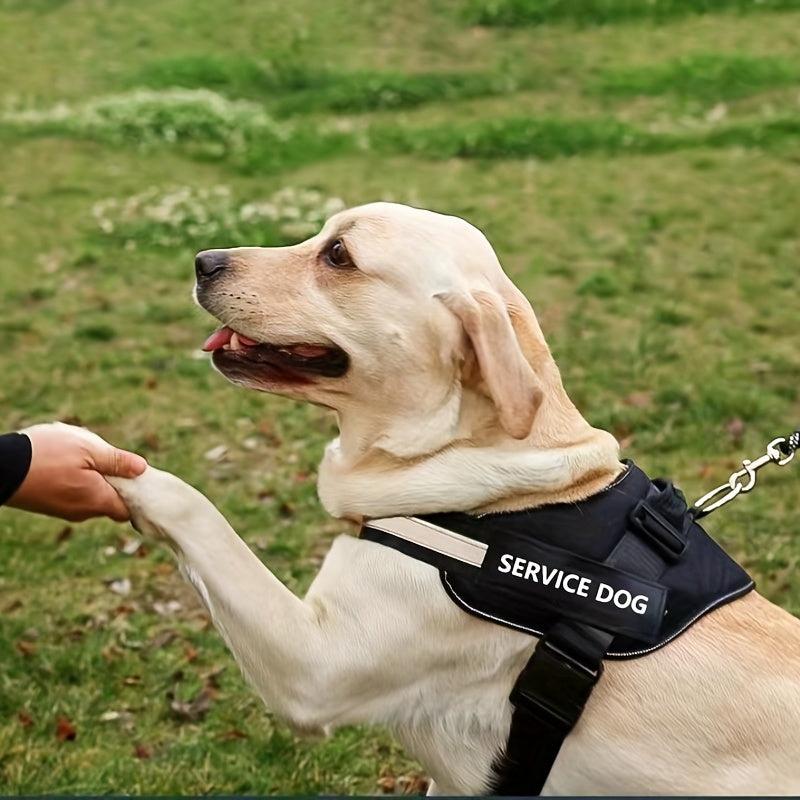 Customized Dog Vest with Padded Handle for Walking Training