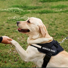 Customized Dog Vest with Padded Handle for Walking Training