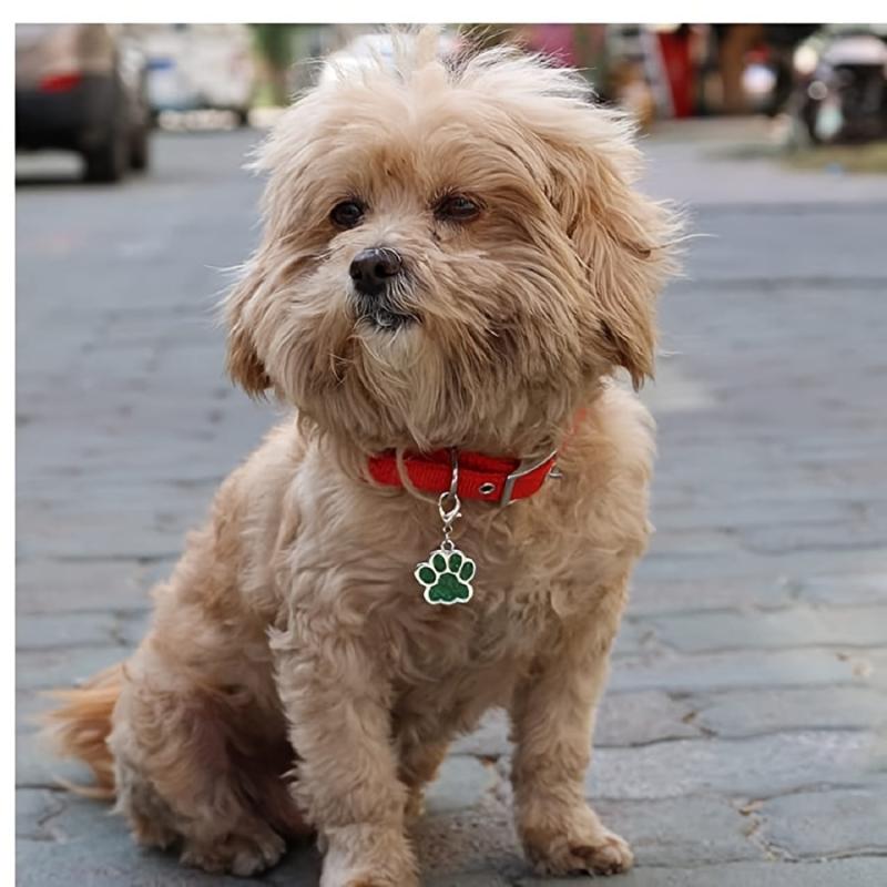 Customizable Dog Paw Shape Engraving Pet ID Tag