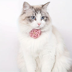 Simulation Camellia Flower Pet Collar Cat Decorative Collar