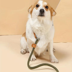 Heavy Duty Dog Slip Lead Braided Rope Leash Large Medium Dogs