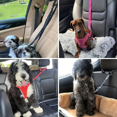 Adjustable Dog & Cat Car Seat Belts x 2 - Keep Your Pets Safe