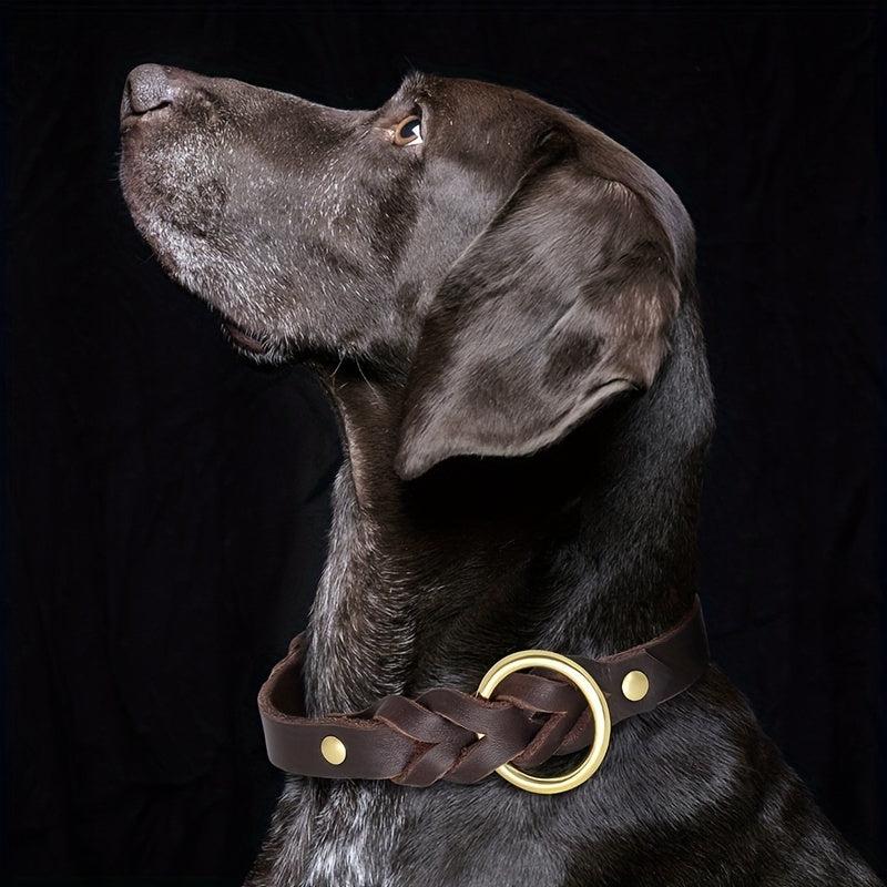 Stylish Leather Pet Collar for Medium and Large Dogs