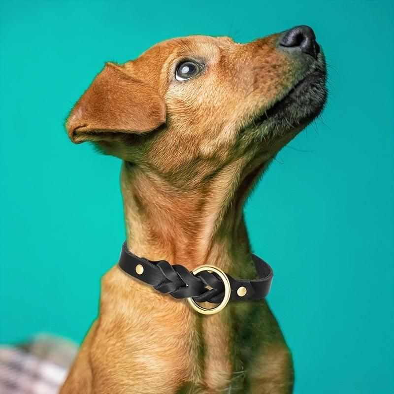 Stylish Leather Pet Collar for Medium and Large Dogs