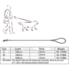 16ft Outdoor Training Pet Leash - Strong and Wear Resistant