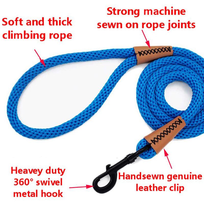 16ft Outdoor Training Pet Leash - Strong and Wear Resistant