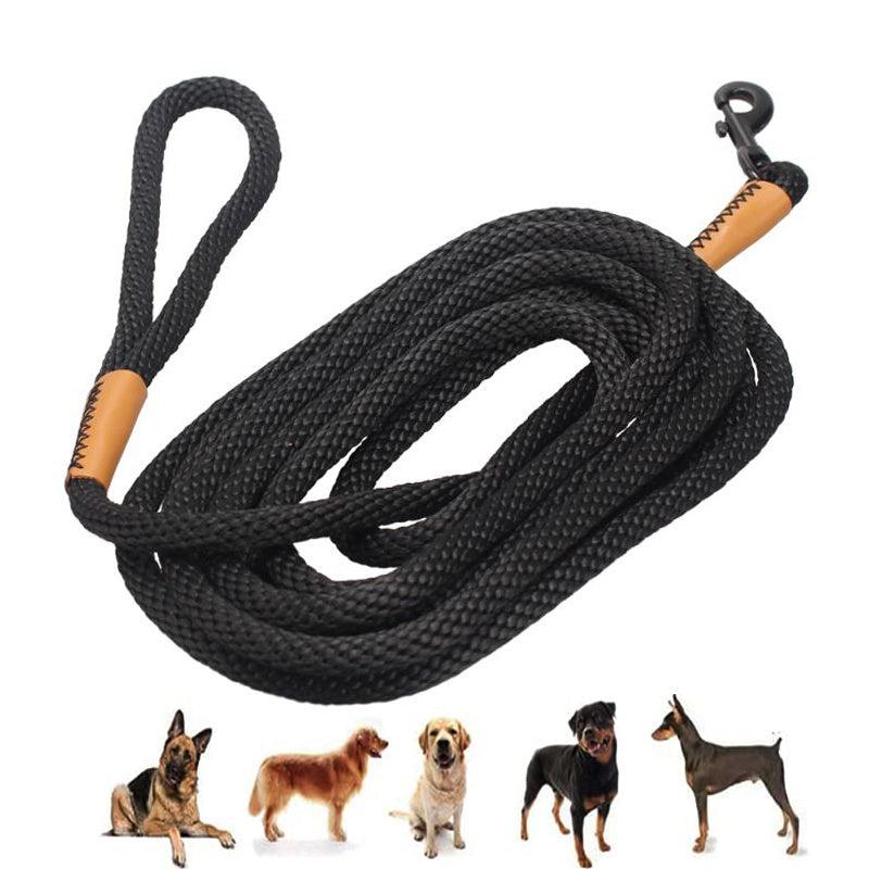 16ft Outdoor Training Pet Leash - Strong and Wear Resistant